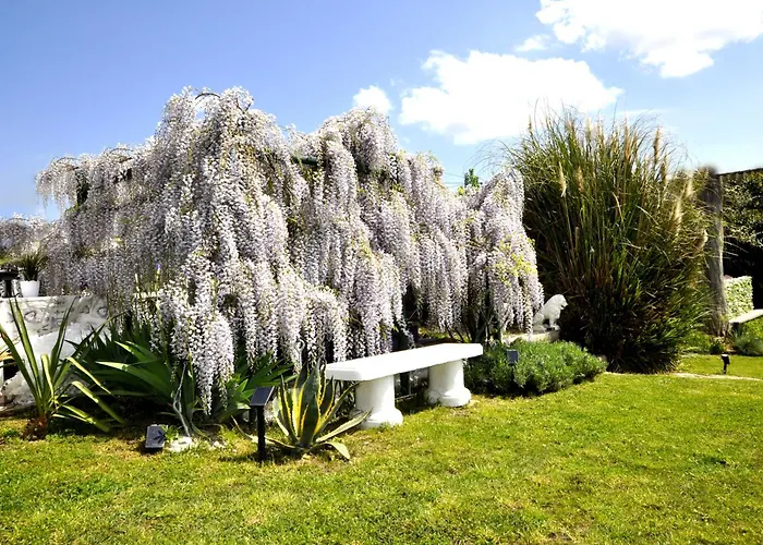 Casa de Férias Gan Eden Nature House San Benedetto Del Querceto