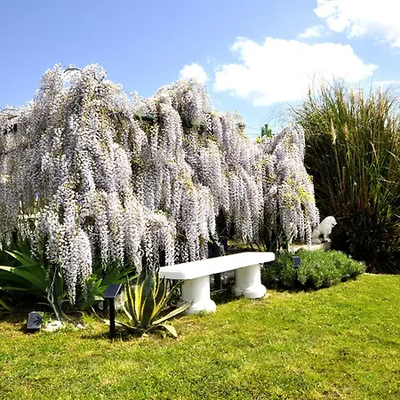 Ferienhaus Gan Eden Nature House San Benedetto Del Querceto